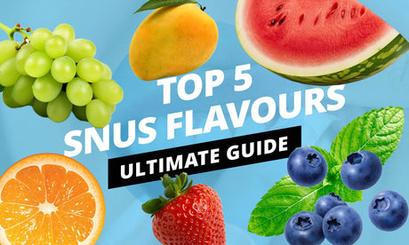 Ultimate Guide to Best Snus Flavours