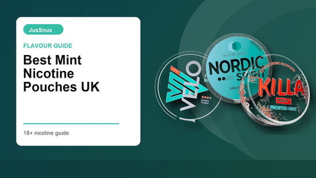 Best Mint Nicotine Pouches UK flavour guide with VELO, Nordic Spirit and Killa mint cans
