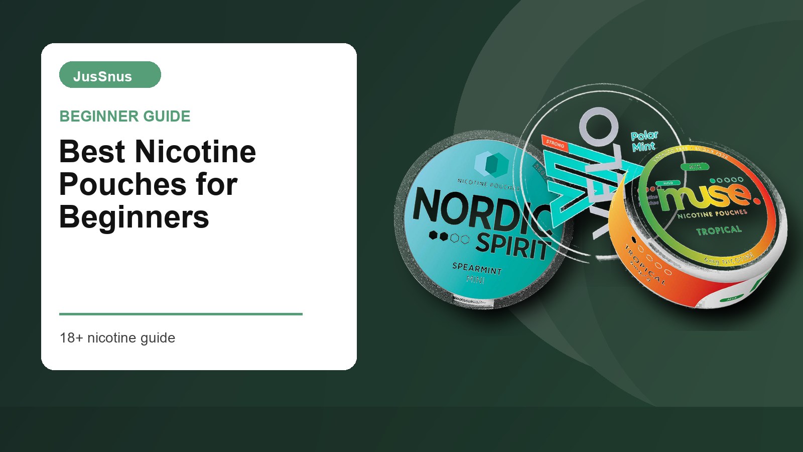 Best nicotine pouches for beginners guide with Nordic Spirit, VELO and Muse nicotine pouch cans