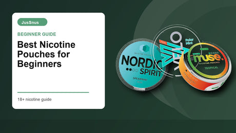 Best nicotine pouches for beginners guide with Nordic Spirit, VELO and Muse nicotine pouch cans